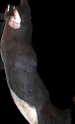Crop