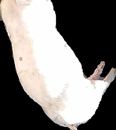 Crop