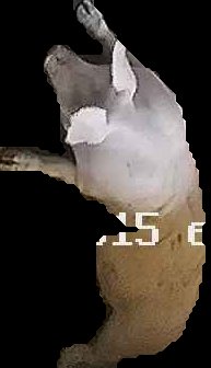Crop