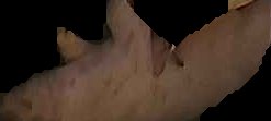 Crop