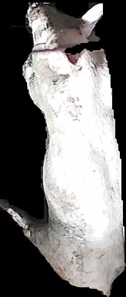 Crop