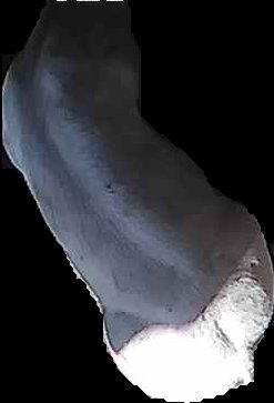 Crop