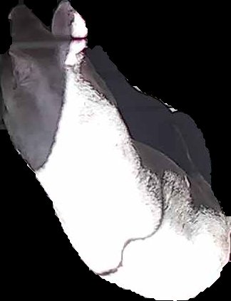 Crop