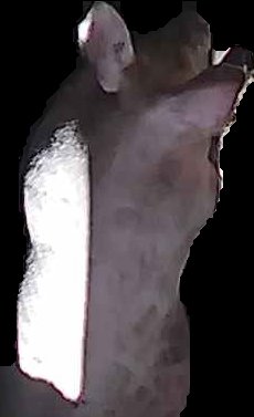 Crop