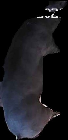 Crop