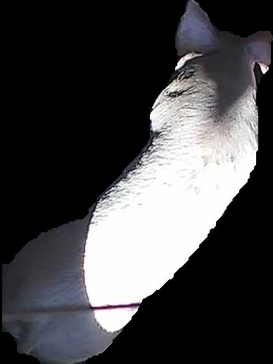 Crop