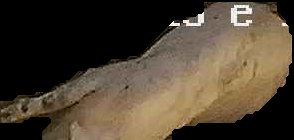 Crop