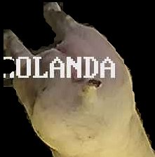 Crop