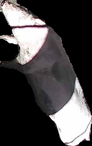 Crop