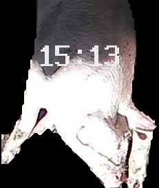 Crop