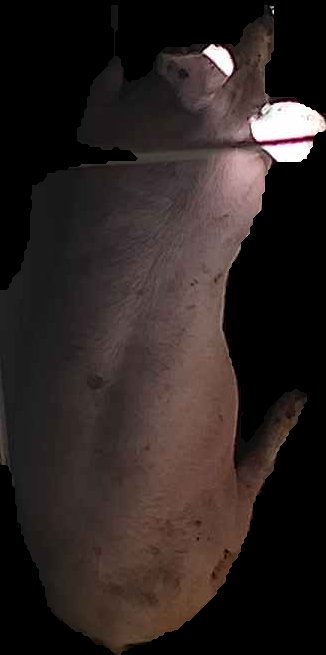 Crop