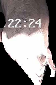 Crop