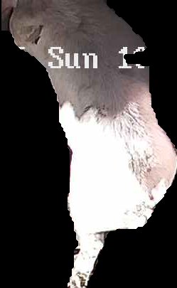 Crop
