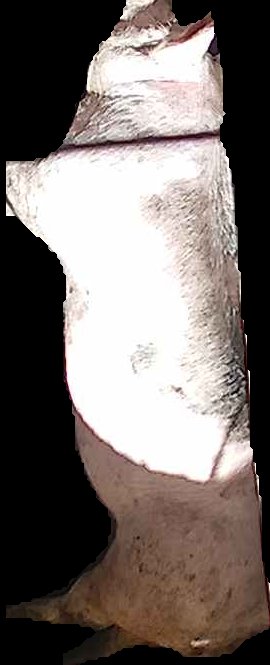 Crop