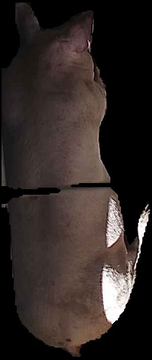 Crop