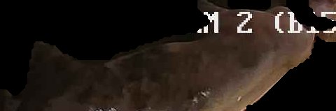 Crop