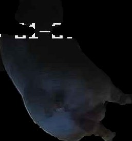 Crop