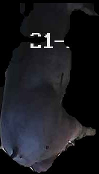 Crop