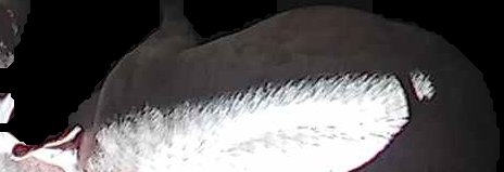 Crop