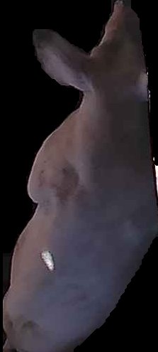 Crop
