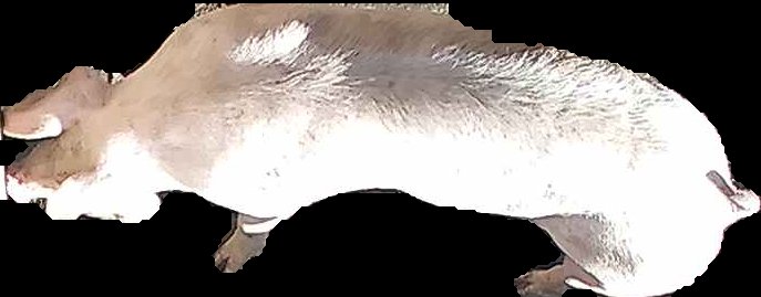 Crop