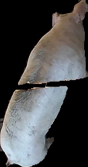 Crop