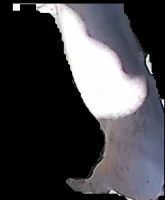 Crop