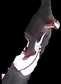 Crop
