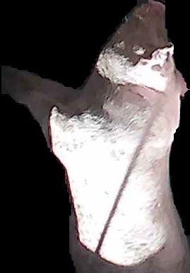 Crop