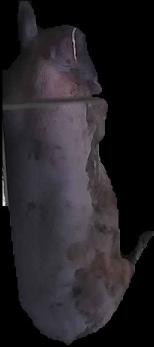 Crop