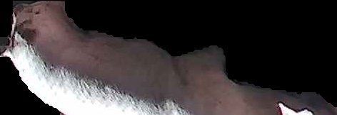 Crop