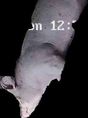 Crop