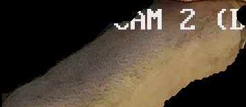 Crop