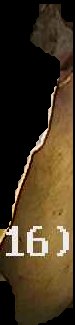 Crop