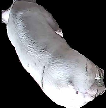 Crop