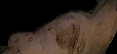 Crop