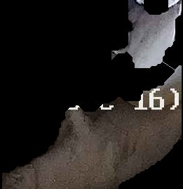 Crop