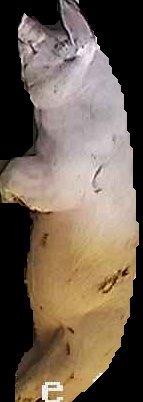 Crop