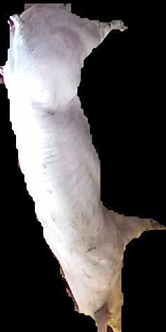 Crop