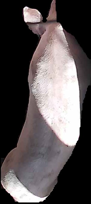 Crop
