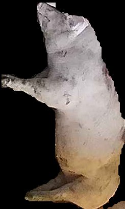 Crop