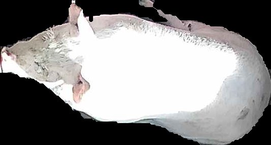 Crop