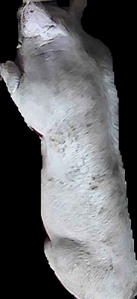 Crop