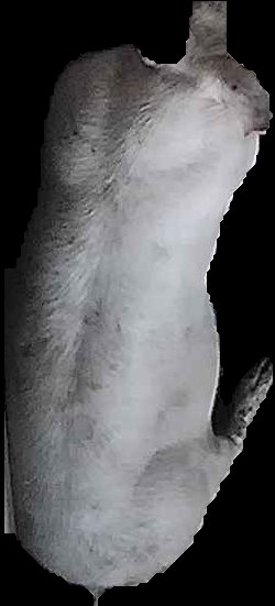 Crop