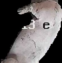 Crop