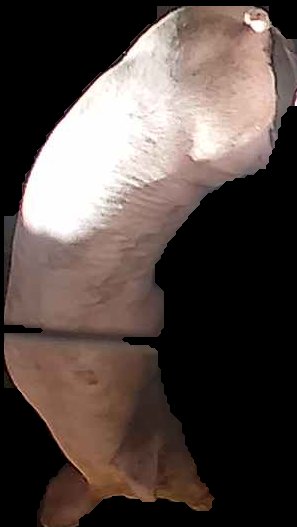 Crop