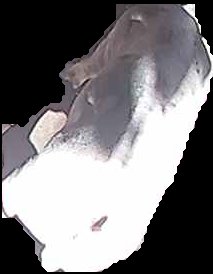 Crop