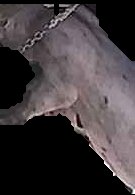 Crop