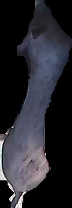 Crop