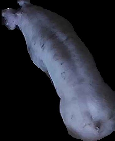 Crop